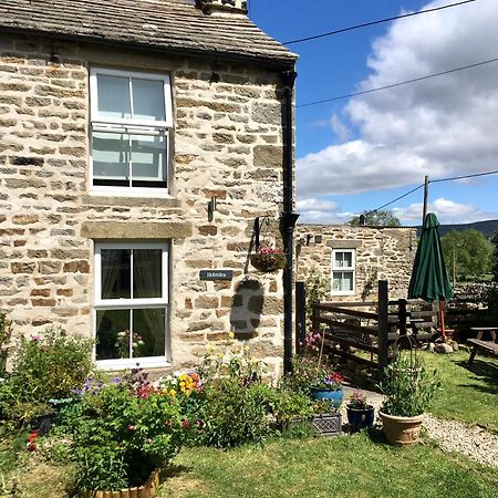 Holmlea Cottage Mickleton (Durham) Exterior foto