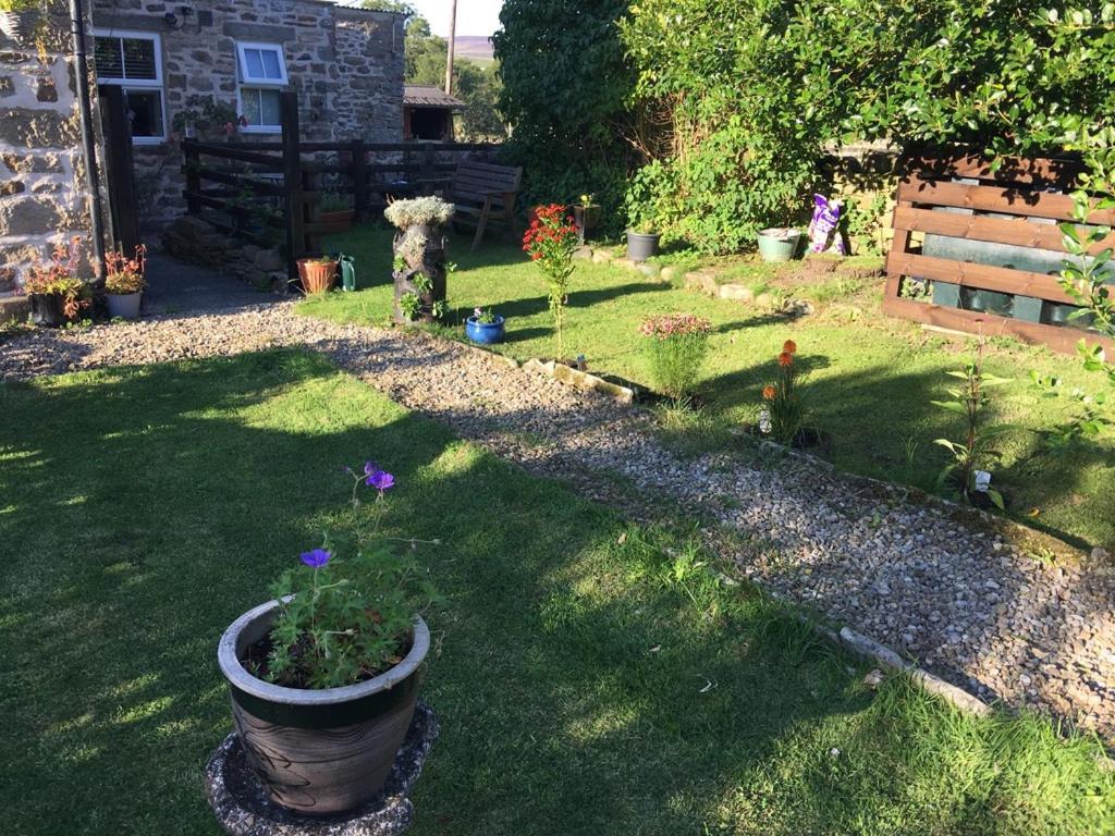 Holmlea Cottage Mickleton (Durham) Exterior foto